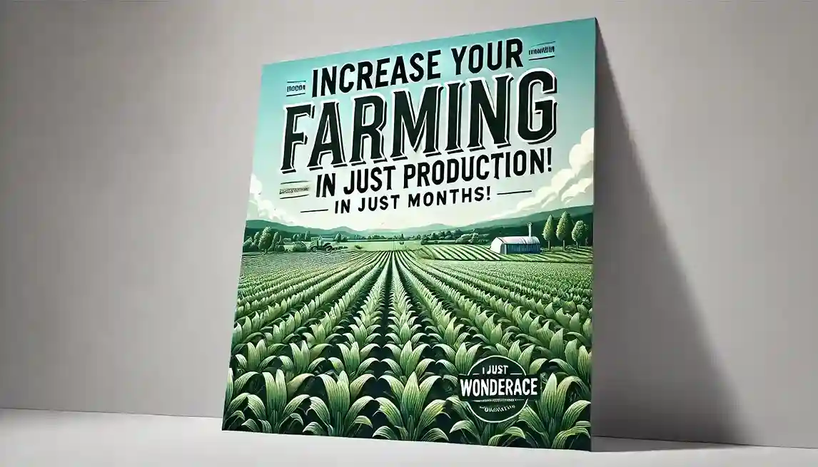 How a Farmer can boost his Farming Production Properly - WonderAce